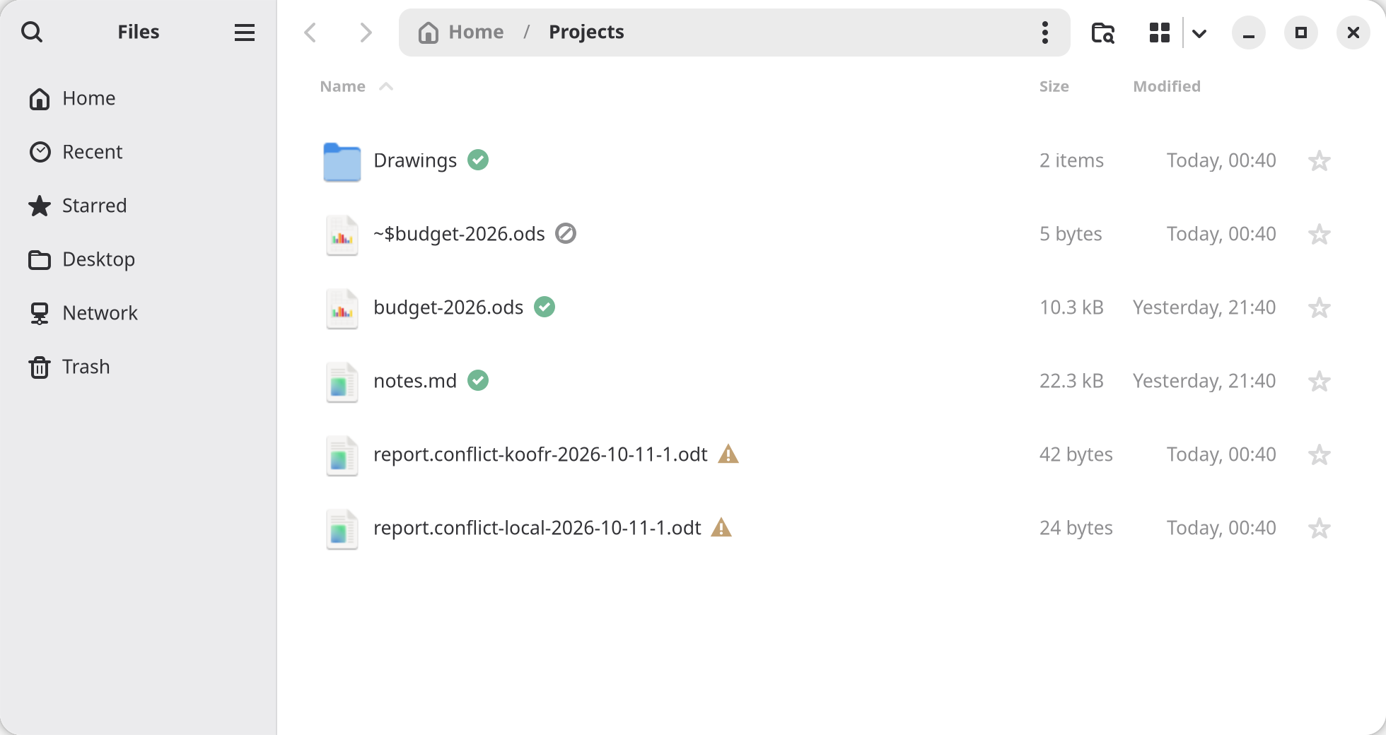 Files in list view inside Projects: synced files, an excluded lock file, the two copies of a conflict
